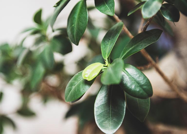 Puzzle z obramowaniem w kształcie głowy z żarówką w środku